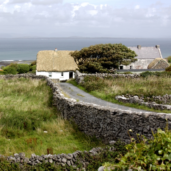 Click here to view Aran Cottage by Jean Macaluso